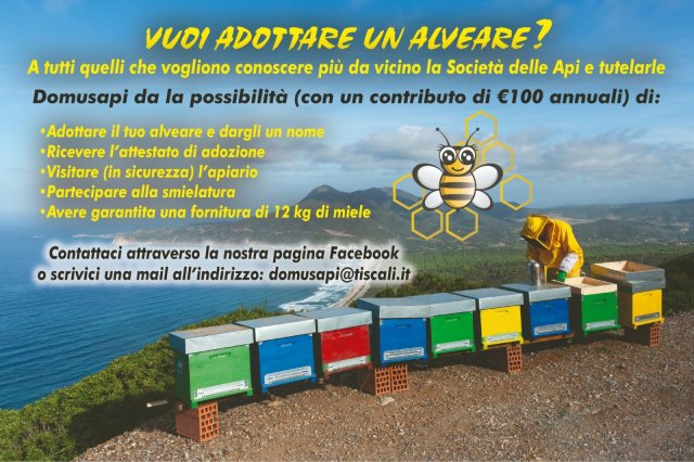 Noi e le api